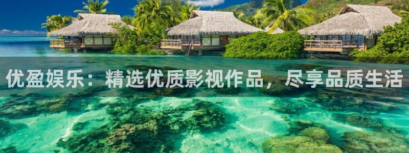 壹号平台下载安装