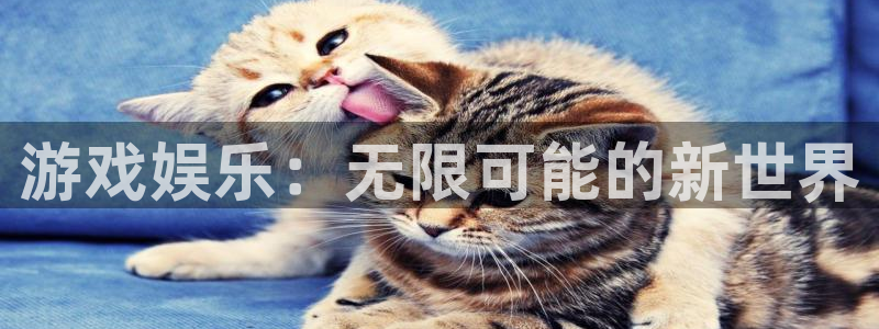 运达娱乐注册链接入口
