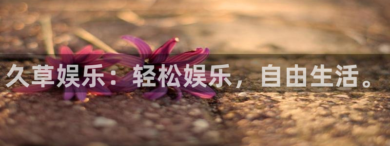运达娱乐注册