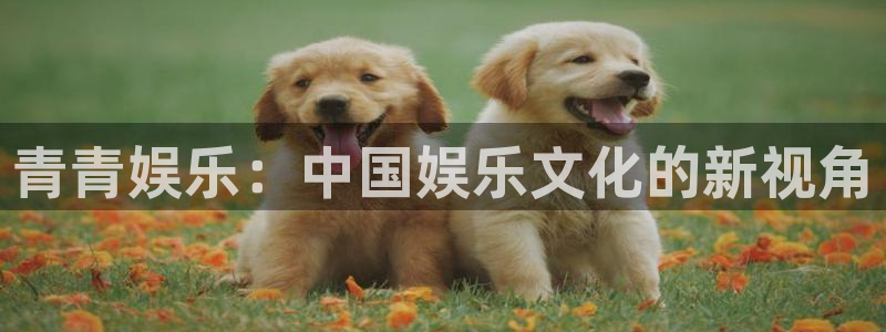 运达娱乐.ccm官网版