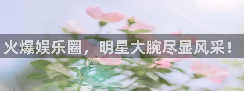 运达娱乐下载入口