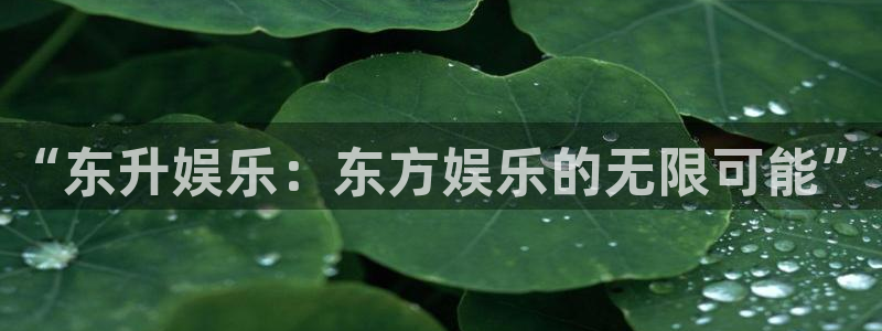 运达娱乐游app：“东升娱乐：东方娱乐的无限可能”