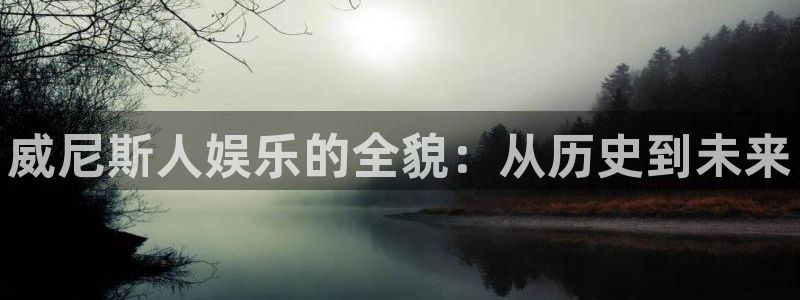 运达娱乐app下载官网：威尼斯人娱乐的全貌：从历史到未来
